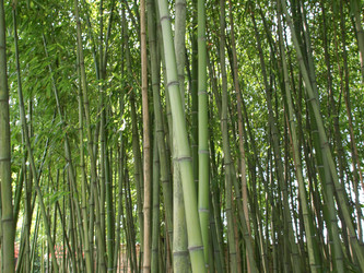 Similar image 1462236