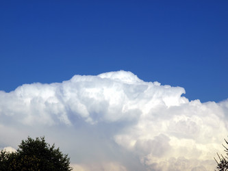 Similar image 1462299