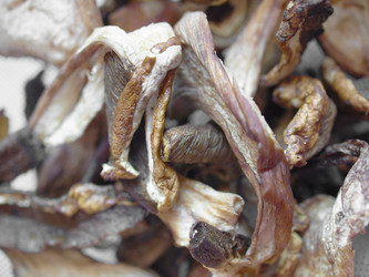 Similar image 1462303