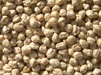 Similar image 1462314