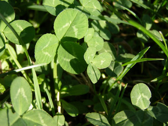 Similar image 1462340