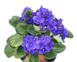 Similar image 1462386