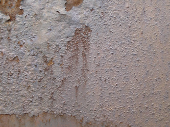 Similar image 1462403