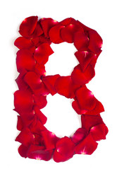 Similar image 1462454