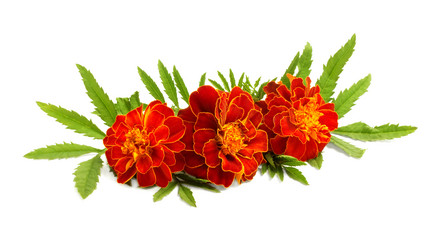 Similar image 1462468