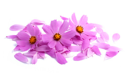 Similar image 1462469