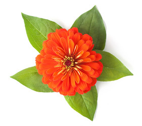 Similar image 1462513