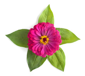 Similar image 1462514