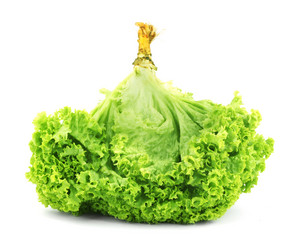 Similar image 1462519