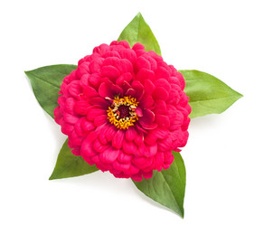 Similar image 1462521