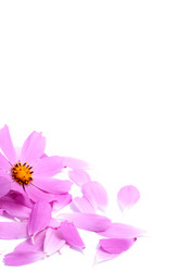 Similar image 1462523