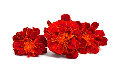 Similar image 1462524