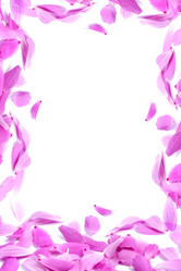 Similar image 1462526