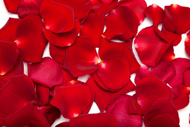 Similar image 1462527