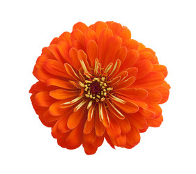 Similar image 1462529