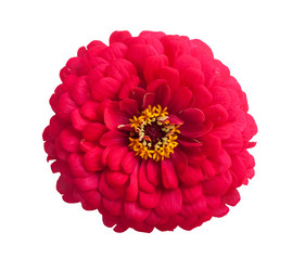 Similar image 1462530