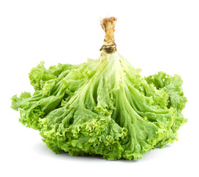 Similar image 1462541