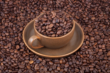 Similar image 1462546