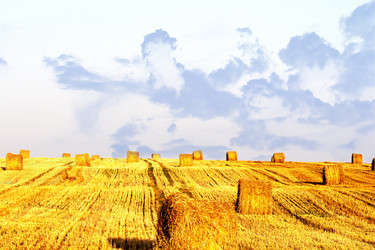 Similar image 1462609