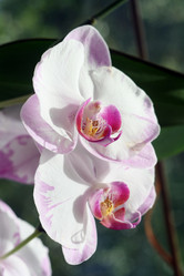 Similar image 1462642