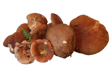 Similar image 1462660