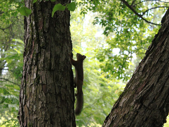 Similar image 1462669