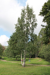 Similar image 1462670