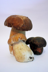 Similar image 1462677