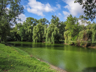 Similar image 1462691