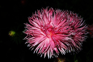 Similar image 1462692