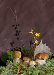 Similar image 1462704