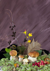 Similar image 1462705