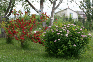 Similar image 1462720