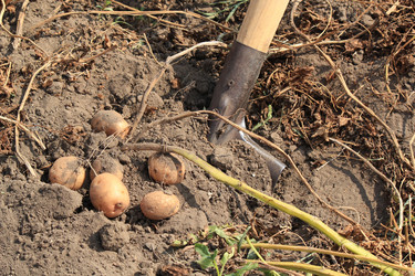 Similar image 1462740