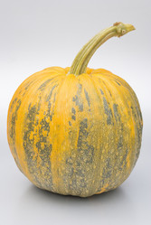 Similar image 1462742