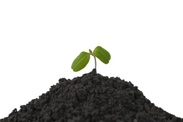 Similar image 1462743