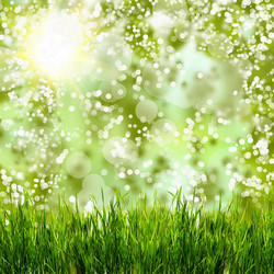 Similar image 1462752