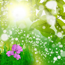 Similar image 1462755