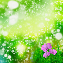 Similar image 1462756