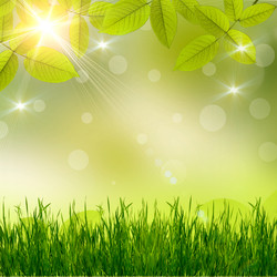 Similar image 1462766