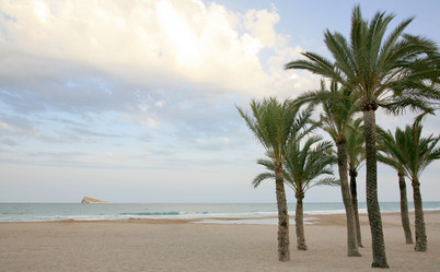 Similar image 1462772