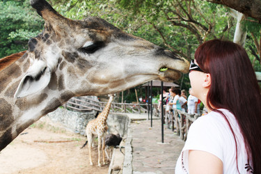 Similar image 1462830