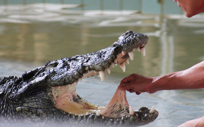 Similar image 1462831