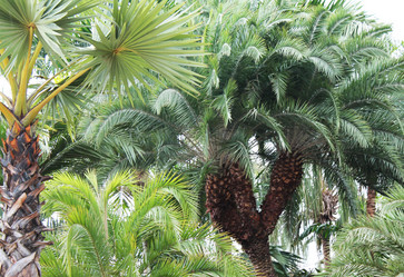 Similar image 1462855