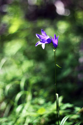 Similar image 1462862