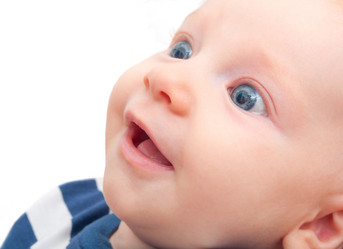 Similar image 1462891