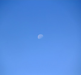 Similar image 1462895