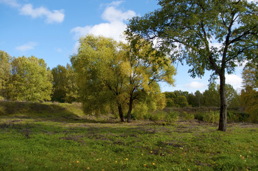 Similar image 1462914