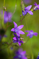 Similar image 1462928