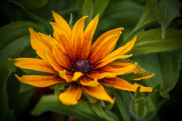 Similar image 1462930